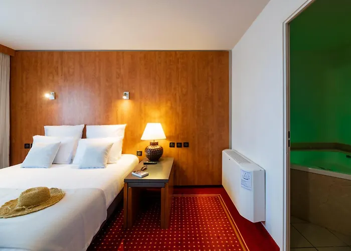 Cerise Bordeaux Aeroport 3* Mérignac